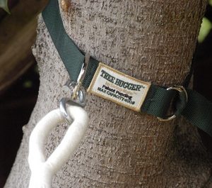 Hammock Tree Hugger Straps